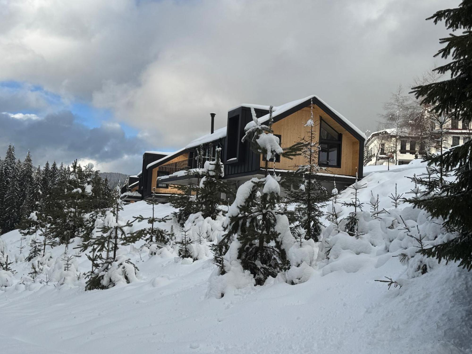 High Five Villas Pamporovo Exterior foto