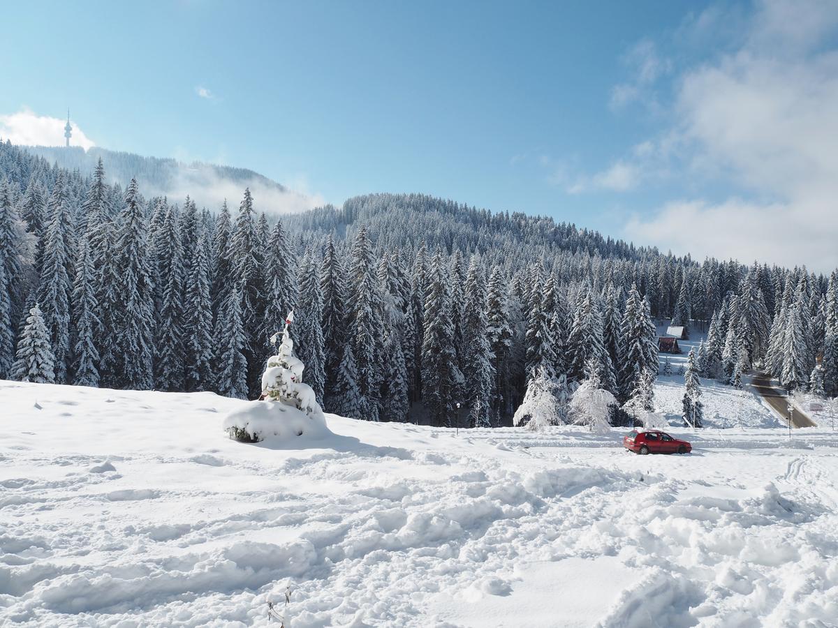 High Five Villas Pamporovo Exterior foto